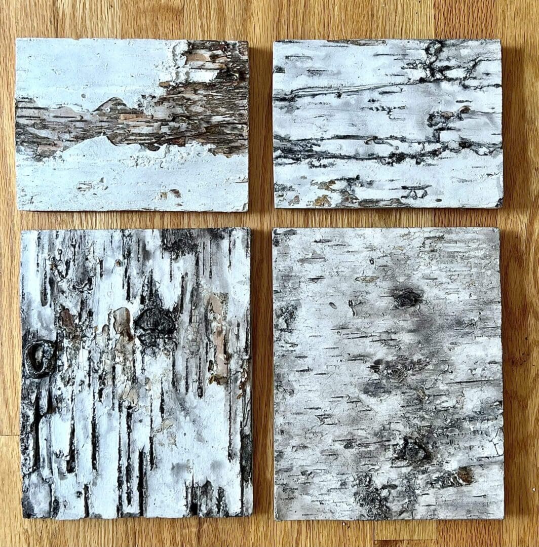 Four samples of birch bark showcasing natural textures and patterns.