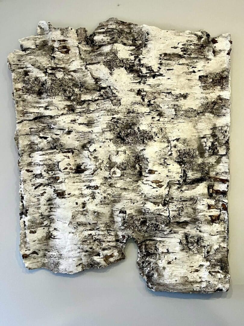Textured abstract painting with black and white tones.