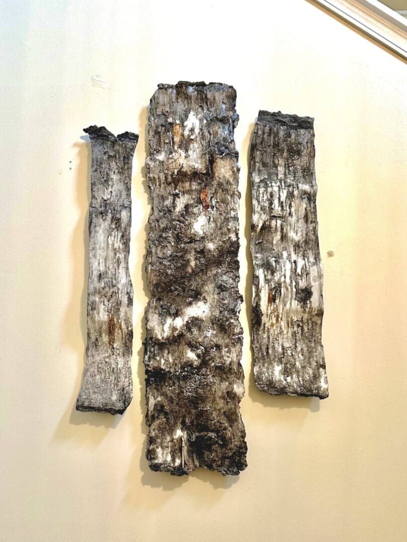 Three pieces of birch bark with natural textures and markings.