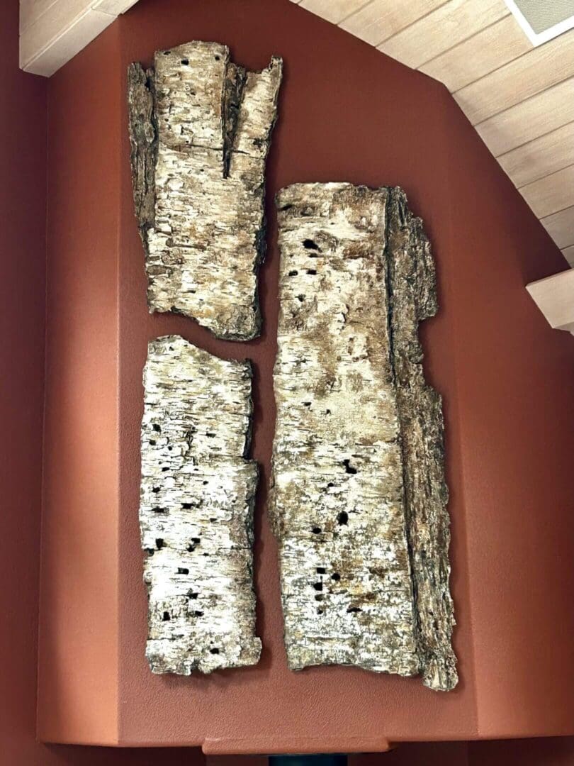 Three birch bark panels mounted on a red wall.