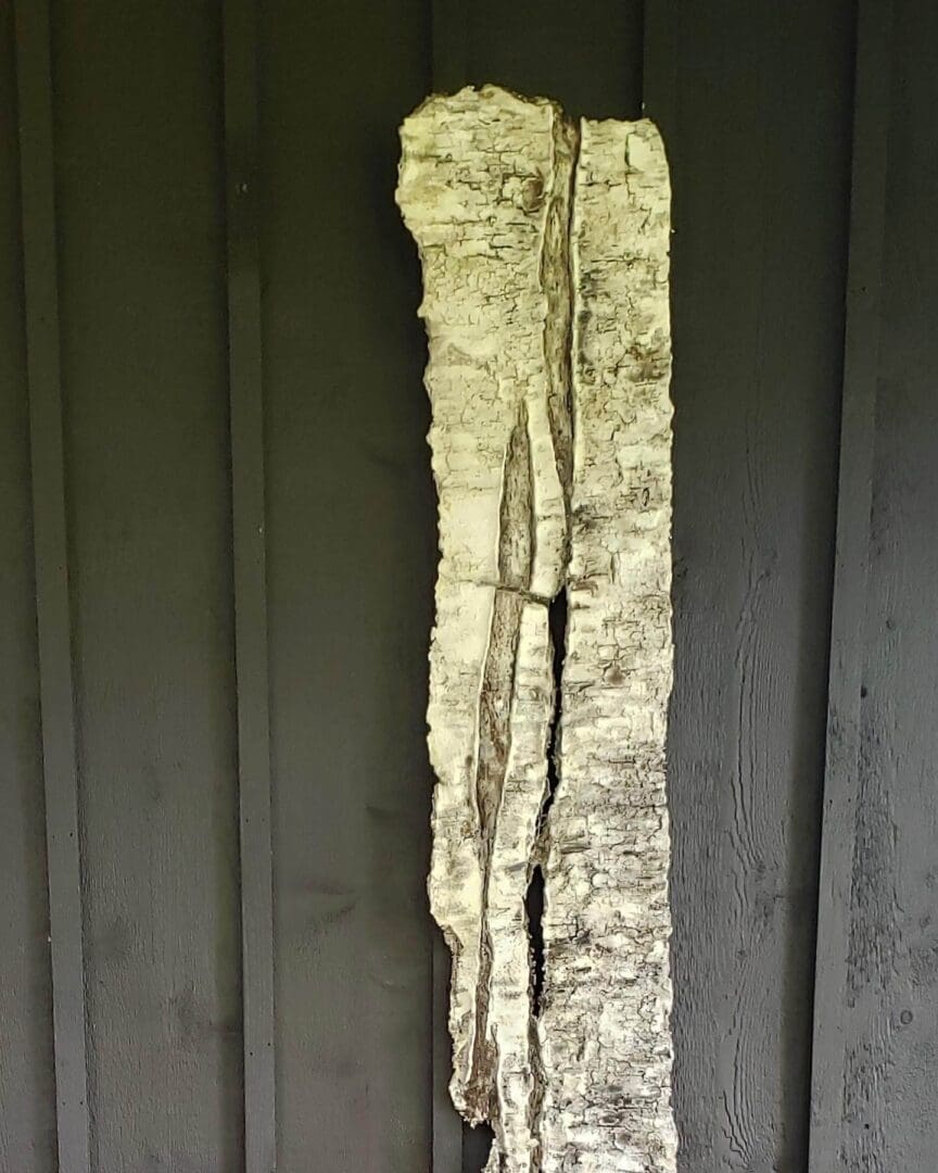 A narrow crack in a wooden door reveals greenery outside.