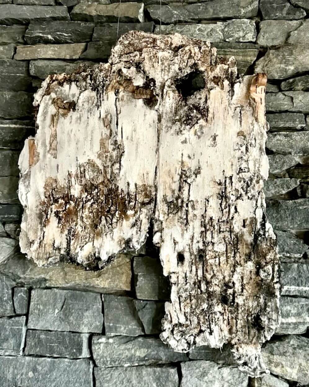A large, weathered piece of wood with peeling bark against a stone wall.