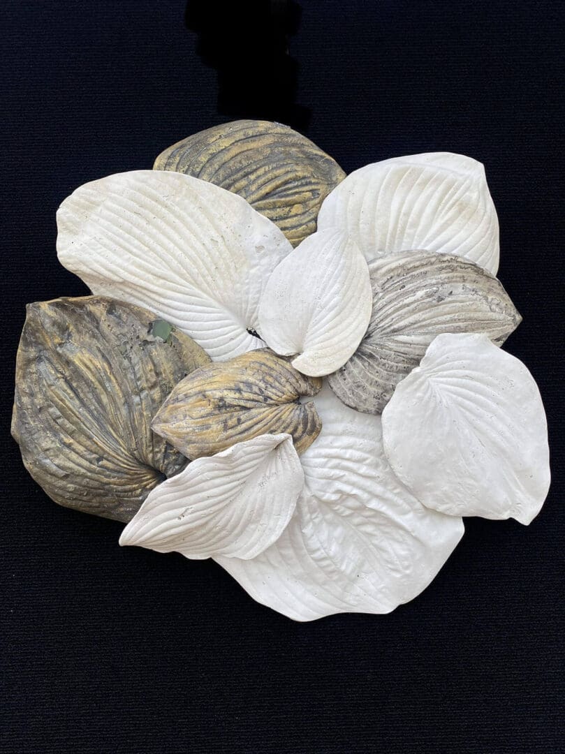 A cluster of white and gray seashells arranged artistically.