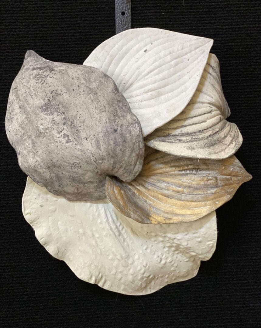 A collection of layered seashells arranged against a black background.
