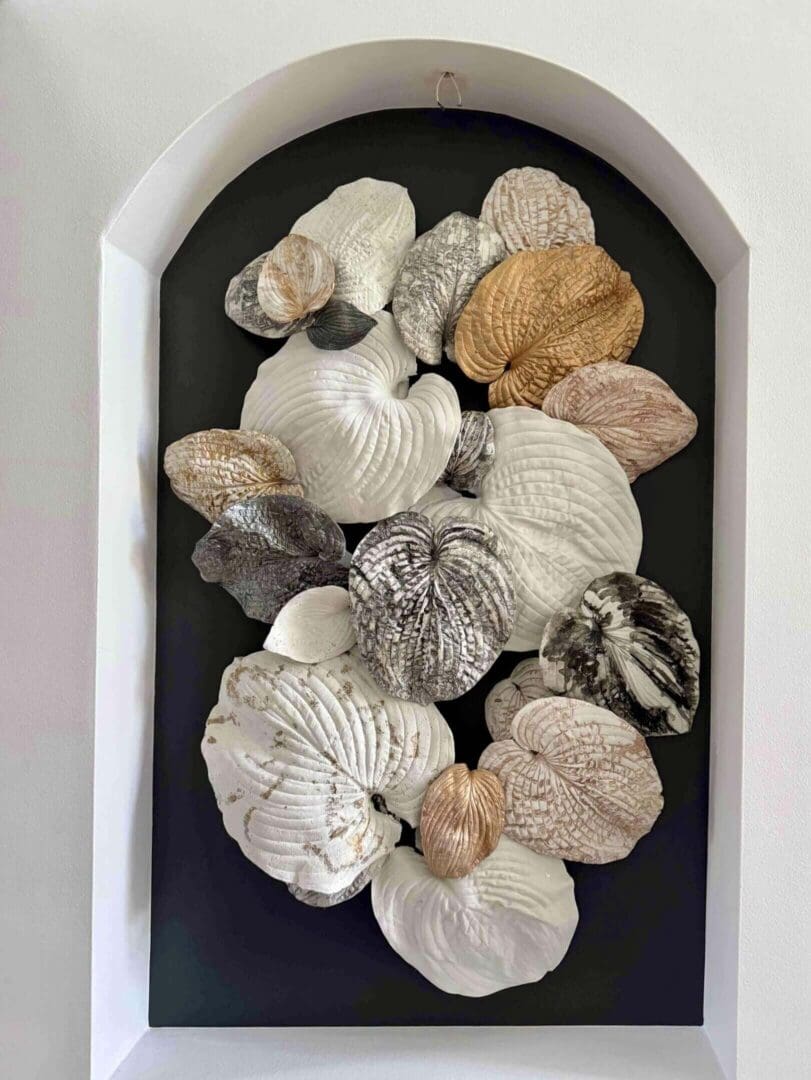 Decorative wall art featuring various seashells in a shadow box frame.