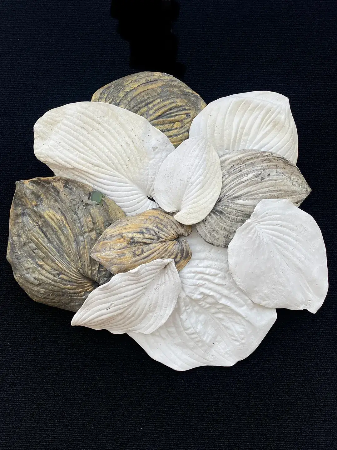 Cluster of oyster shells arranged artistically on black background.