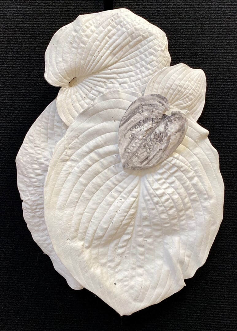 White textured sculpture resembling a human heart with a smaller transparent heart overlay.