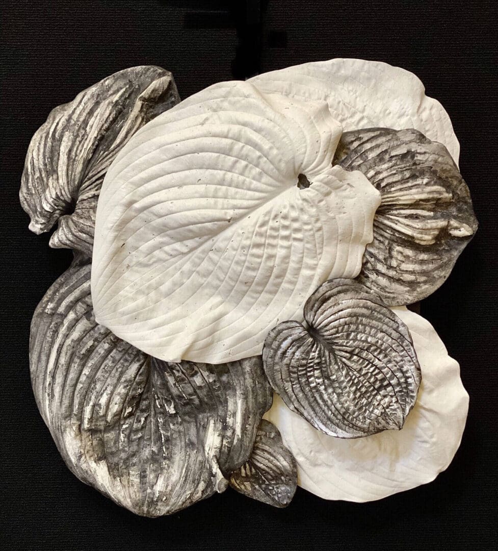 A cluster of textured, circular, white and gray objects resembling seashells.