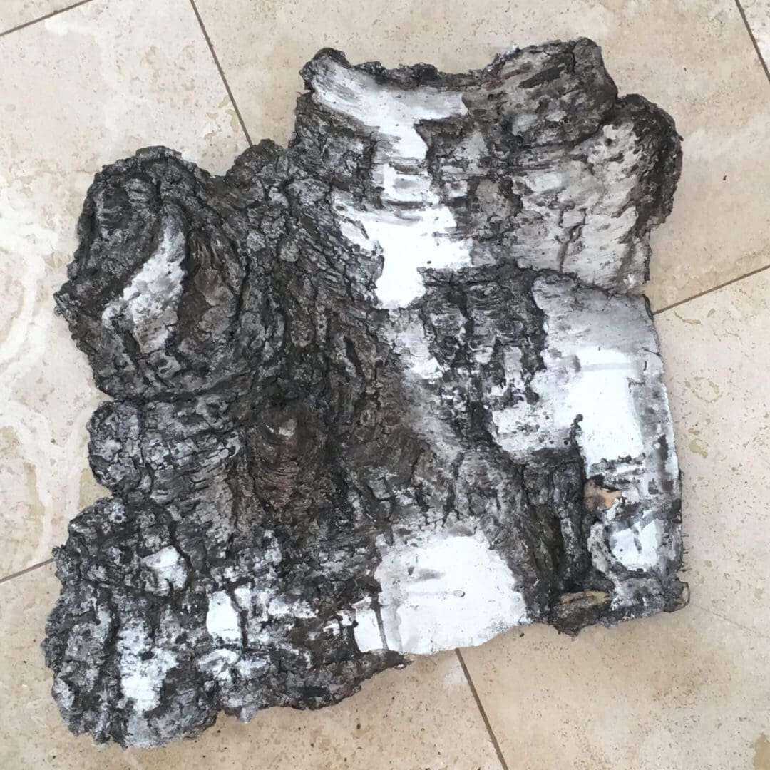 A large, textured piece of birch bark on tiled floor.