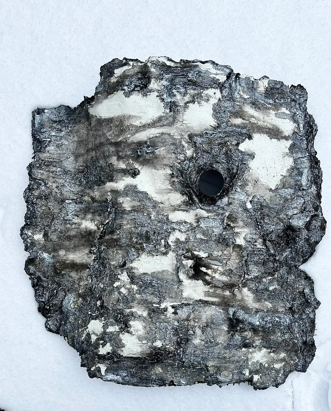 Close-up of a rough, irregularly shaped black and white textured stone or mineral.