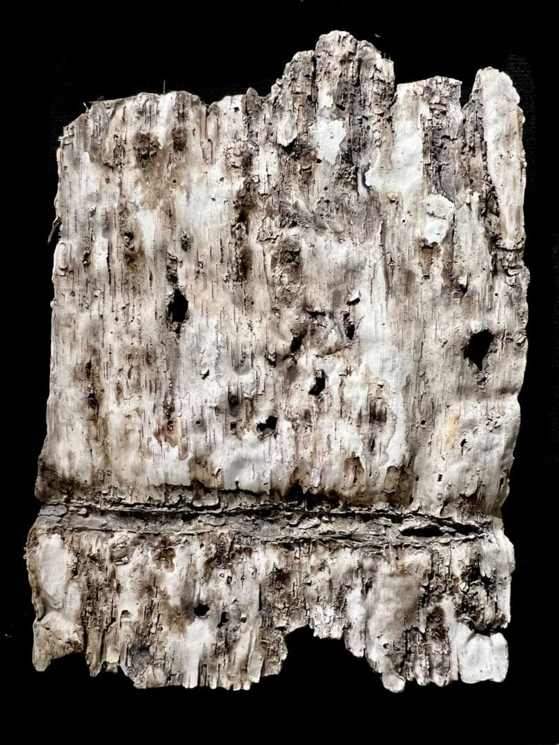 Close-up of a textured, weathered stone with rough surface and natural indentations.