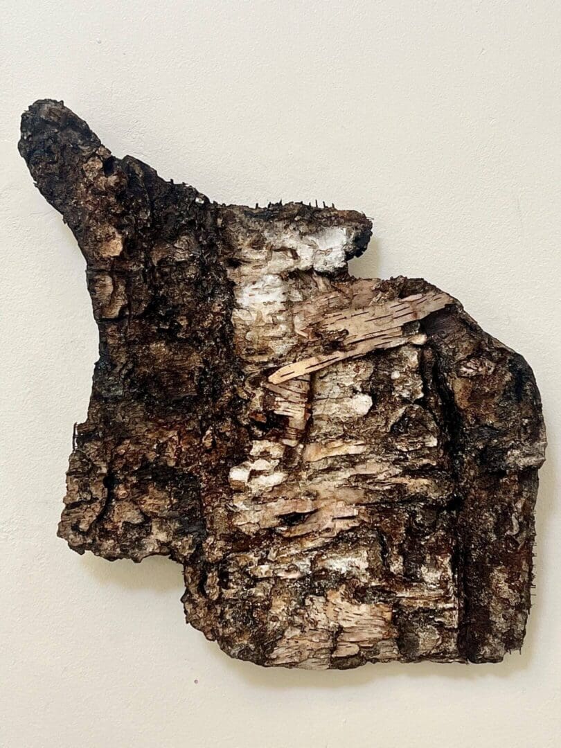A piece of bark with rough texture and natural brown tones.