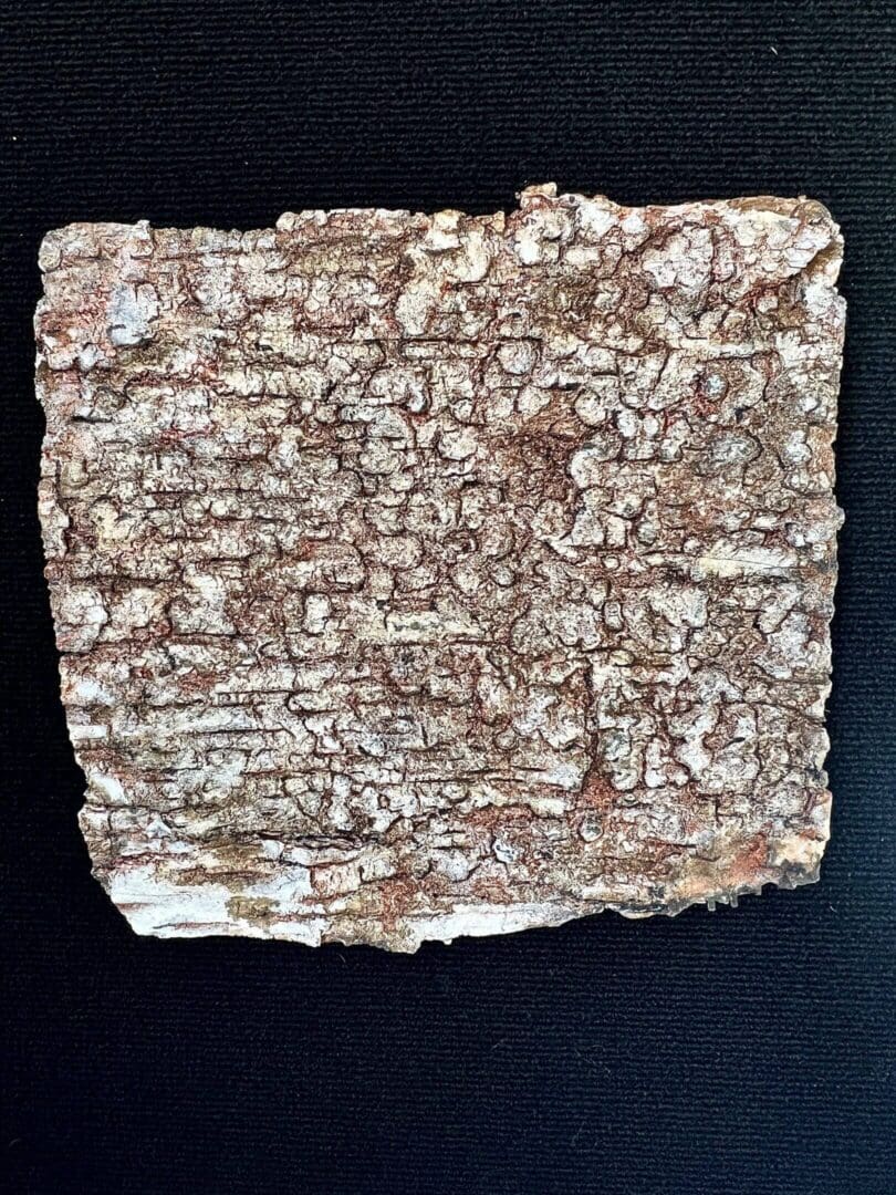 Ancient clay tablet inscribed with cuneiform script.
