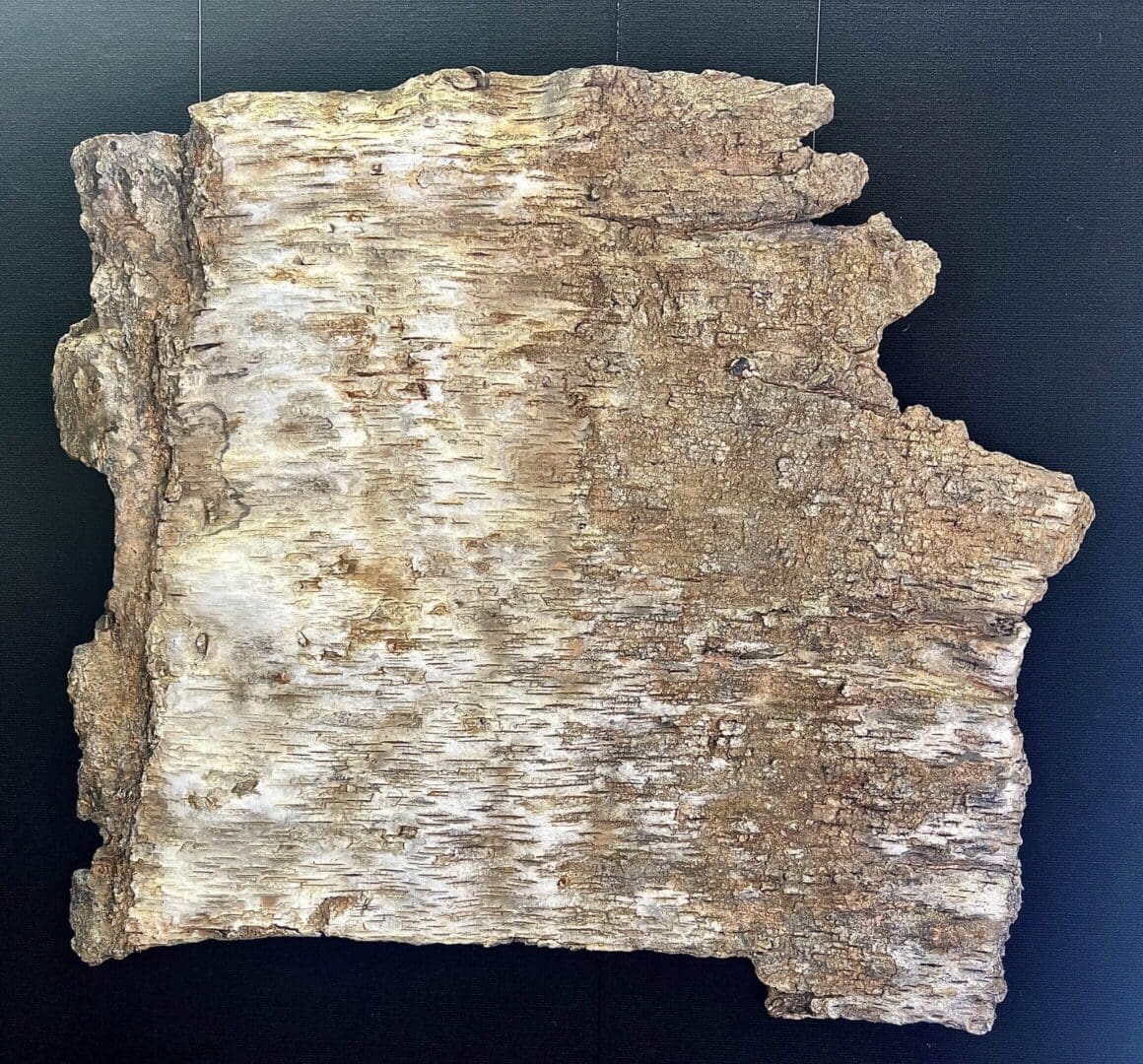 A piece of old, weathered wood with rough texture and uneven edges.