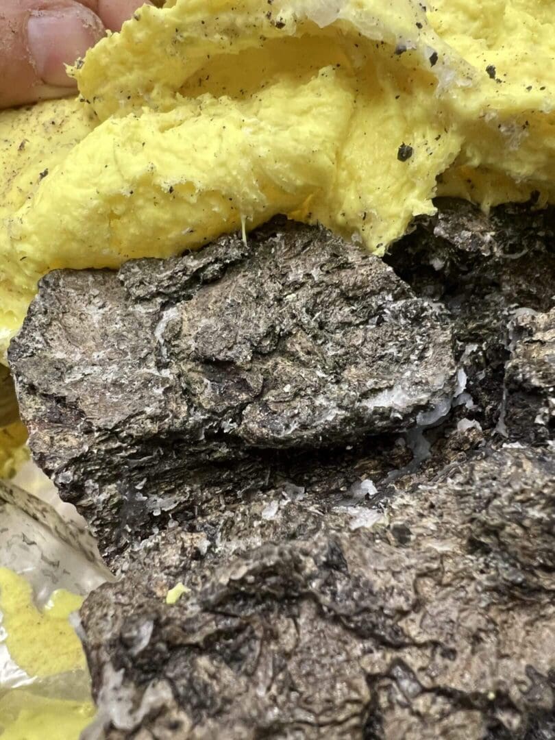 Close-up of a dark, rough-textured rock or mineral sample.