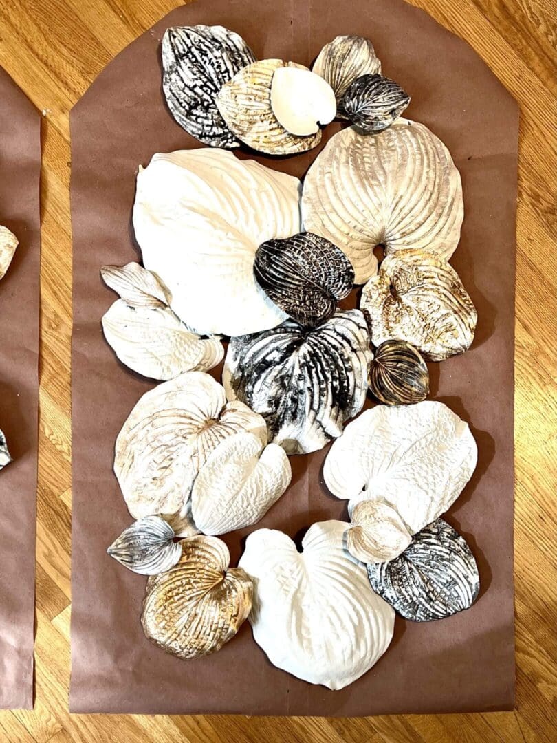 Decorative arrangement of dried shells and natural elements on a wooden surface.