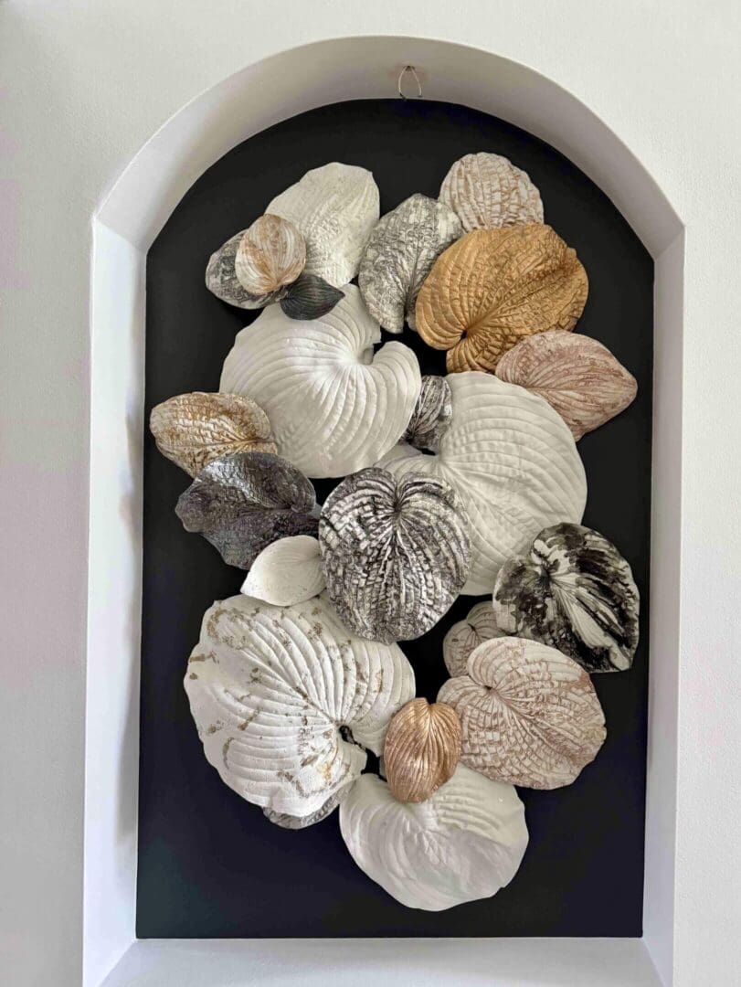 Collection of various textured seashells arranged on a black background.
