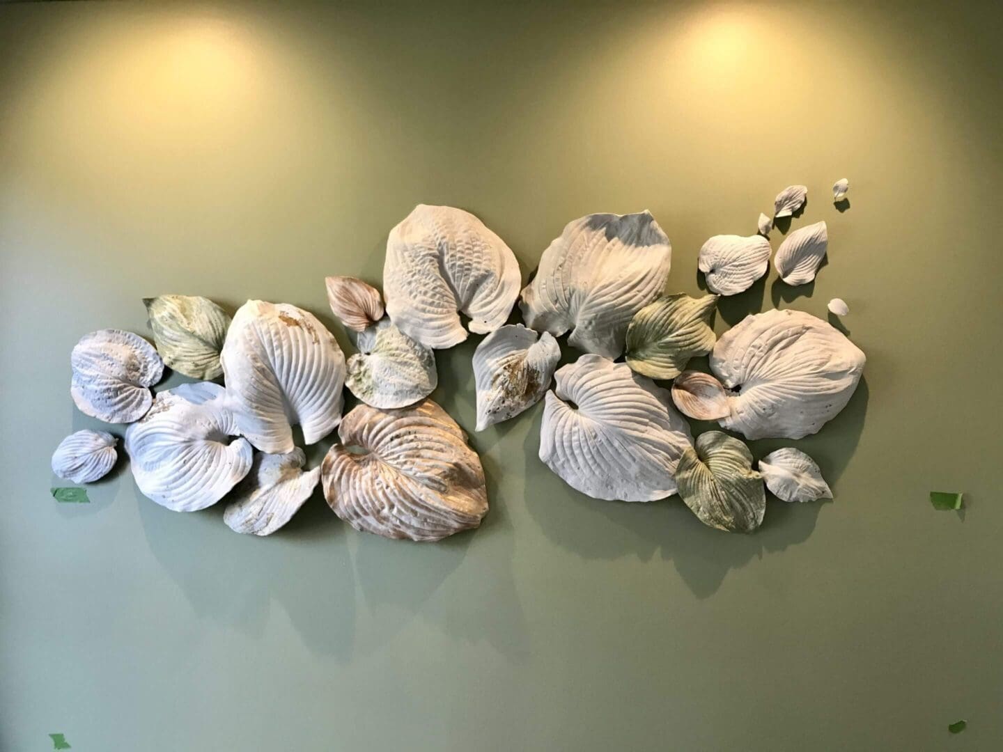 Artistic wall sculpture of abstract seashell shapes on a green background.